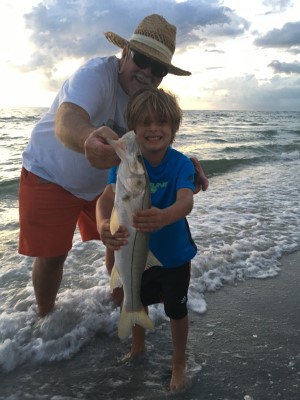 MamboShad Fishing Lures Florida